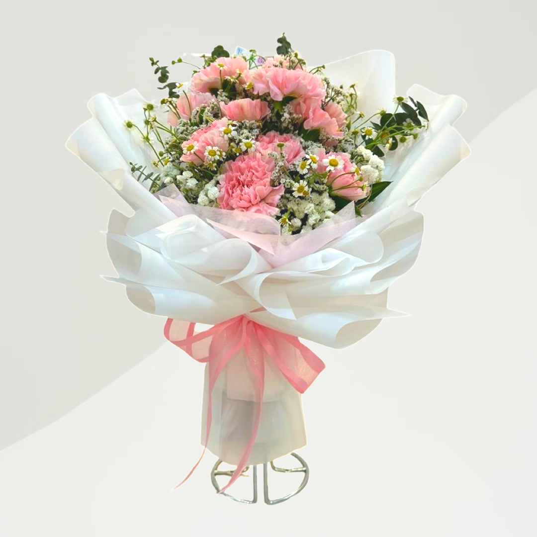 Carnation bouquet (Size M) Bow dan Bunga